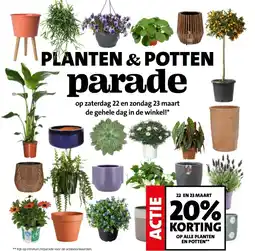 Intratuin 22 EN 23 MAART 20% KORTING OP ALLE PLANTEN EN POTTEN** aanbieding