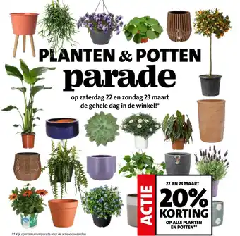 Intratuin 22 EN 23 MAART 20% KORTING OP ALLE PLANTEN EN POTTEN** aanbieding