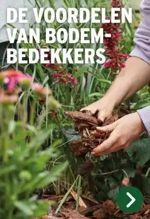 GAMMA DE VOORDELEN VAN BODEM- BEDEKKERS aanbieding