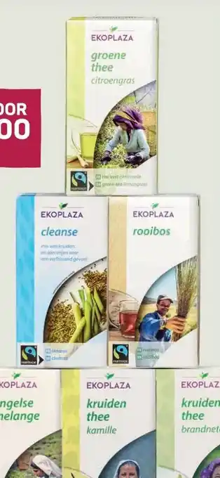 Ekoplaza Ekoplaza THEE aanbieding