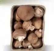 Ekoplaza KASTANJE CHAMPIGNONS aanbieding