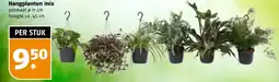 Poiesz Hangplanten mix aanbieding