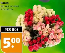 Poiesz Rozen aanbieding