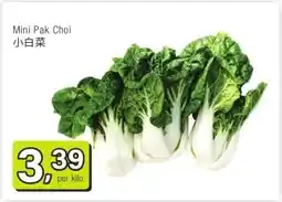 Amazing Oriëntal Mini Pak Choi 小白菜 aanbieding