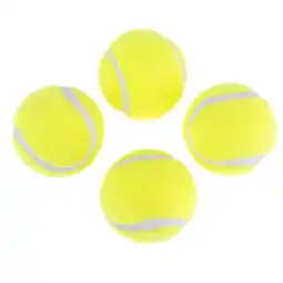 Zooplus Nomad Tales Bloom automatische tennisbalwerper - 4 extra tennisballen aanbieding