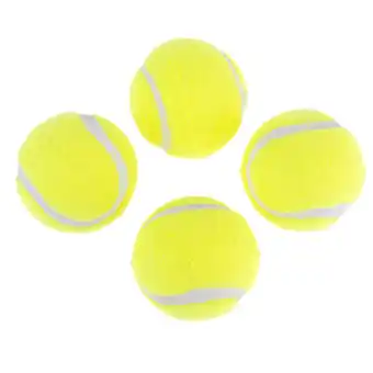 Zooplus Nomad Tales Bloom automatische tennisbalwerper - 4 extra tennisballen aanbieding