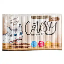 Zooplus 10x5g Catessy Sticks met BBQ Zalm Kattensnacks aanbieding