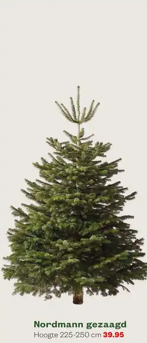 Welkoop Nordmann gezaagd - Kerstboom aanbieding