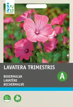 Intratuin Intratuin bloemenzaad Bekermalva grootbloemig roze (Lavatera trimestris) aanbieding