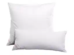 Lidl Sannwald Premium hoofdkussen met veren en dons aanbieding