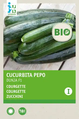 Intratuin Intratuin Biologisch groentezaad Courgette (Curcurbita pepo 'Dunja') aanbieding