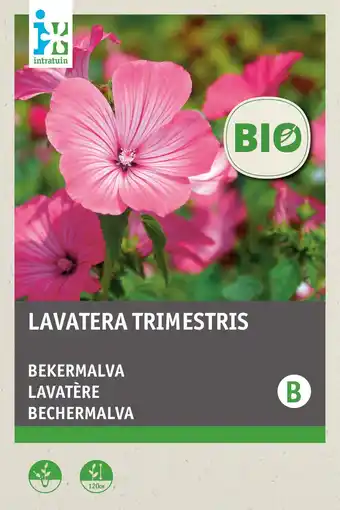 Intratuin intratuin biologisch bloemenzaad Bekermalva (Lavatera trimestris ) aanbieding