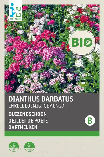 Intratuin intratuin biologisch bloemenzaad Duizendschoon (Dianthus barbatus mix) aanbieding