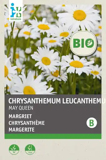 Intratuin intratuin biologisch bloemenzaad Margiet (Leucanthenum vernale 'May Queen') aanbieding