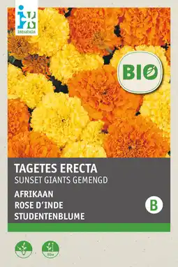 Intratuin intratuin biologisch bloemenzaad Afrikaantje (Tagetus africanus 'Sunset giants') aanbieding