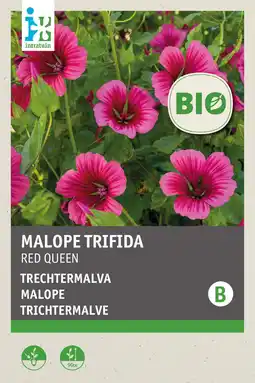 Intratuin intratuin biologisch bloemenzaad Trechtermalva (Malope grandiflora 'Red Queen') aanbieding