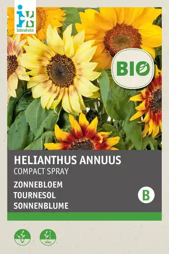 Intratuin intratuin biologisch bloemenzaad Zonnebloem (Helianthus anuus 'Compact spray') aanbieding