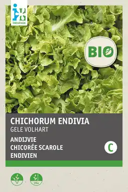 Intratuin intratuin biologisch groentezaden Andijvie (Chichorium endivia 'Gele volhart') aanbieding