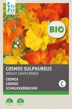 Intratuin intratuin biologisch bloemenzaad Cosmea (Cosmos bipinnatus 'Bright lights') aanbieding