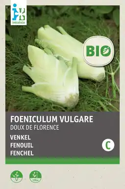 Intratuin intratuin biologisch groentezaden Venkel (Foeniculum vulgare 'Doux de florence') aanbieding