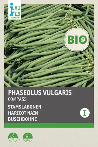 Intratuin intratuin biologisch groentezaden Stamslaboon (Phaseolus vulgaris 'Compas') aanbieding