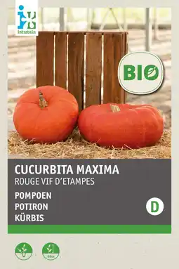 Intratuin intratuin biologisch groentezaden Pompoen (Cucurbita maxima 'Rode van etampes') aanbieding