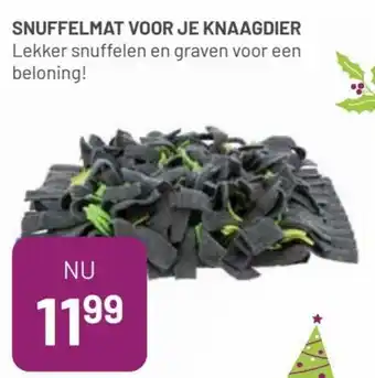 Pets & Co Snuffelmat voor je knaagdier aanbieding