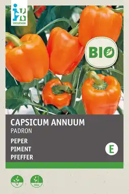 Intratuin intratuin biologisch groentezaden Peper (Capsicum annuum 'Padron') aanbieding