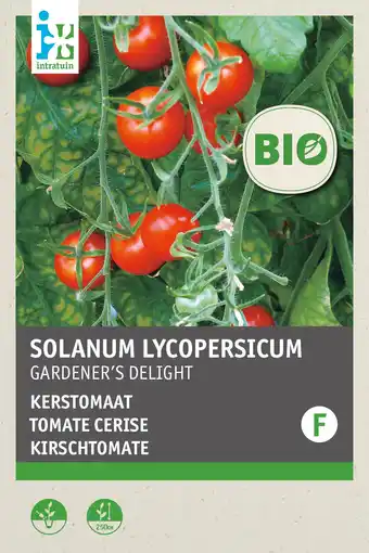 Intratuin intratuin biologisch groentezaden Tomaat (Solanum lycopersicum 'Gardeners Delight') aanbieding