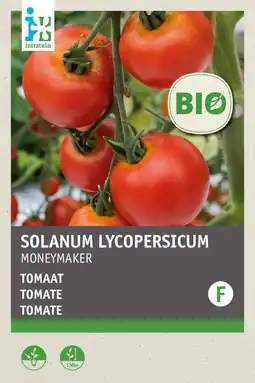 Intratuin intratuin biologisch groentezaden Tomaat (Solanum lycopersicum 'Moneymaker') aanbieding