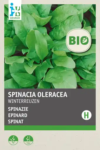 Intratuin intratuin biologisch groentezaden Spinazie (Spinacea oleracea 'Winterreuzen') aanbieding