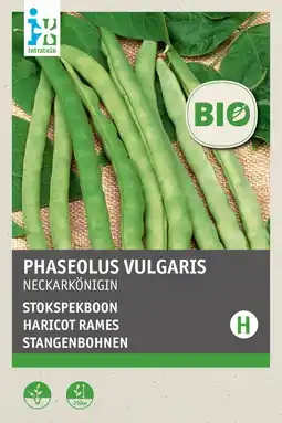 Intratuin intratuin biologisch groentezaden Stokspekboon (Phaseolus vulgaris 'Neckarkönigin') aanbieding