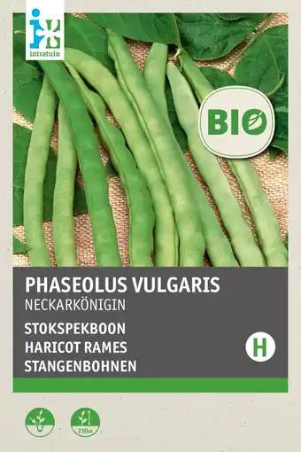 Intratuin intratuin biologisch groentezaden Stokspekboon (Phaseolus vulgaris 'Neckarkönigin') aanbieding