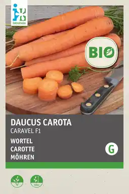 Intratuin intratuin biologisch groentezaden Wortel (Daucus carota 'Caraval F1') aanbieding