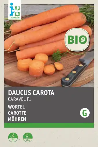 Intratuin intratuin biologisch groentezaden Wortel (Daucus carota 'Caraval F1') aanbieding