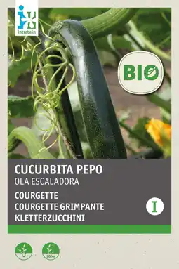 Intratuin intratuin biologisch groentezaden Courgette (Cucurbita pepo 'Olea escaladora') aanbieding