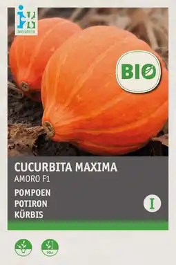 Intratuin intratuin biologisch groentezaden Pompoen (Cucurbita maxima 'Amoro F1') aanbieding