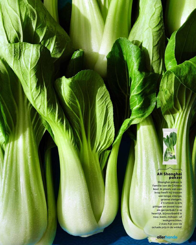 Yalangoch osmir rasmlar