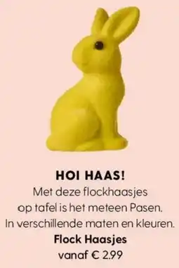 Albert Heijn Flock Haasjes aanbieding