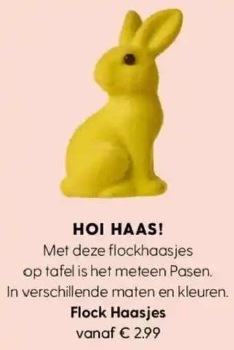 Albert Heijn Flock Haasjes aanbieding