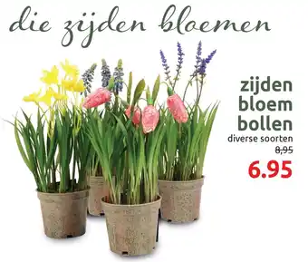 Deka Tuin Zijden bloem bollen aanbieding