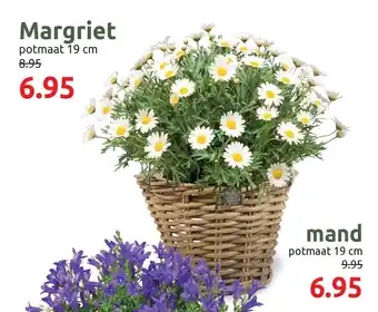 Deka Tuin Margriet aanbieding