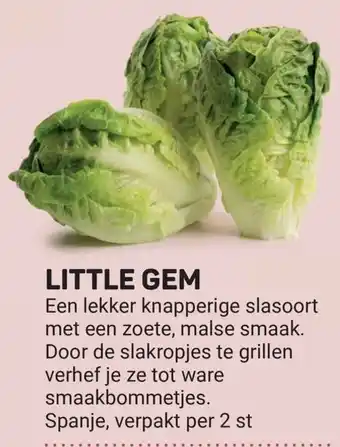 Ekoplaza Little gem aanbieding