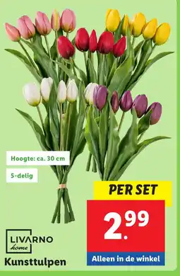 Lidl Kunsttulpen aanbieding