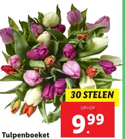 Lidl Tulpenboeket aanbieding