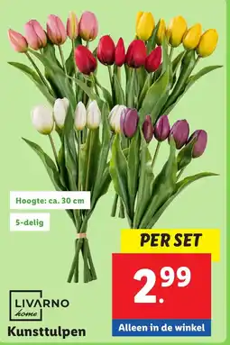 Lidl Kunsttulpen aanbieding