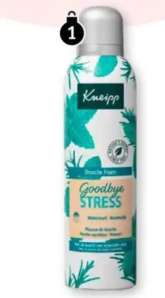 Kruidvat Kneipp douche foam aanbieding