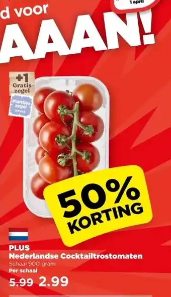 PLUS PLUS Nederlandse Cocktailtrostomaten aanbieding