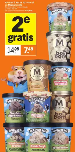 Albert Heijn Ben & Jerry's en Magnum pints aanbieding