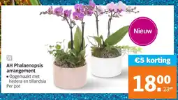 Albert Heijn AH Phalaenopsis arrangement aanbieding